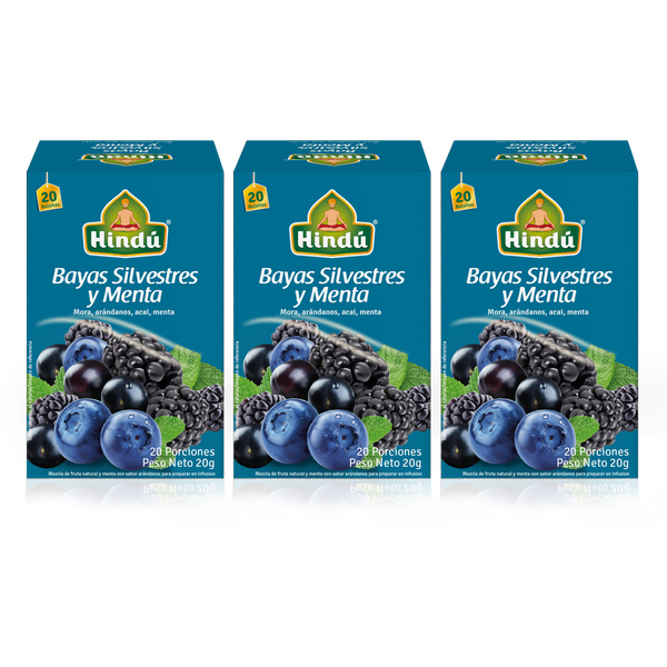 INFUSION FRUTAL BAYAS SILVESTRES Y MENTA x20 Pague 2 lleve 3